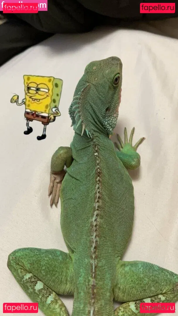 ExplicitKait Onlyfans Photo Gallery 