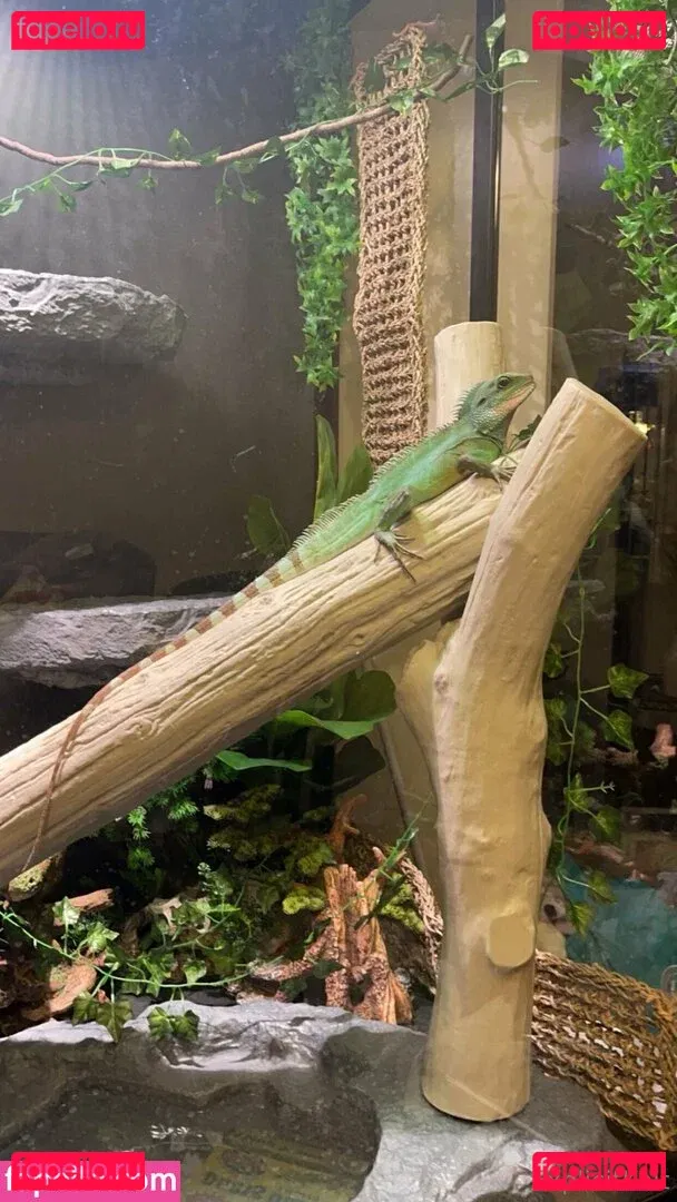 ExplicitKait Onlyfans Photo Gallery 