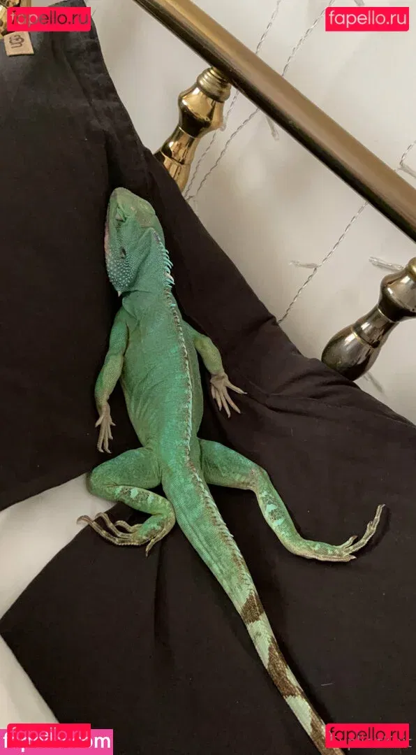 ExplicitKait Onlyfans Photo Gallery 