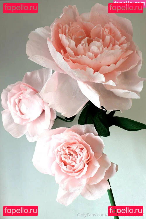 annie_so_sweet Onlyfans Photo Gallery 