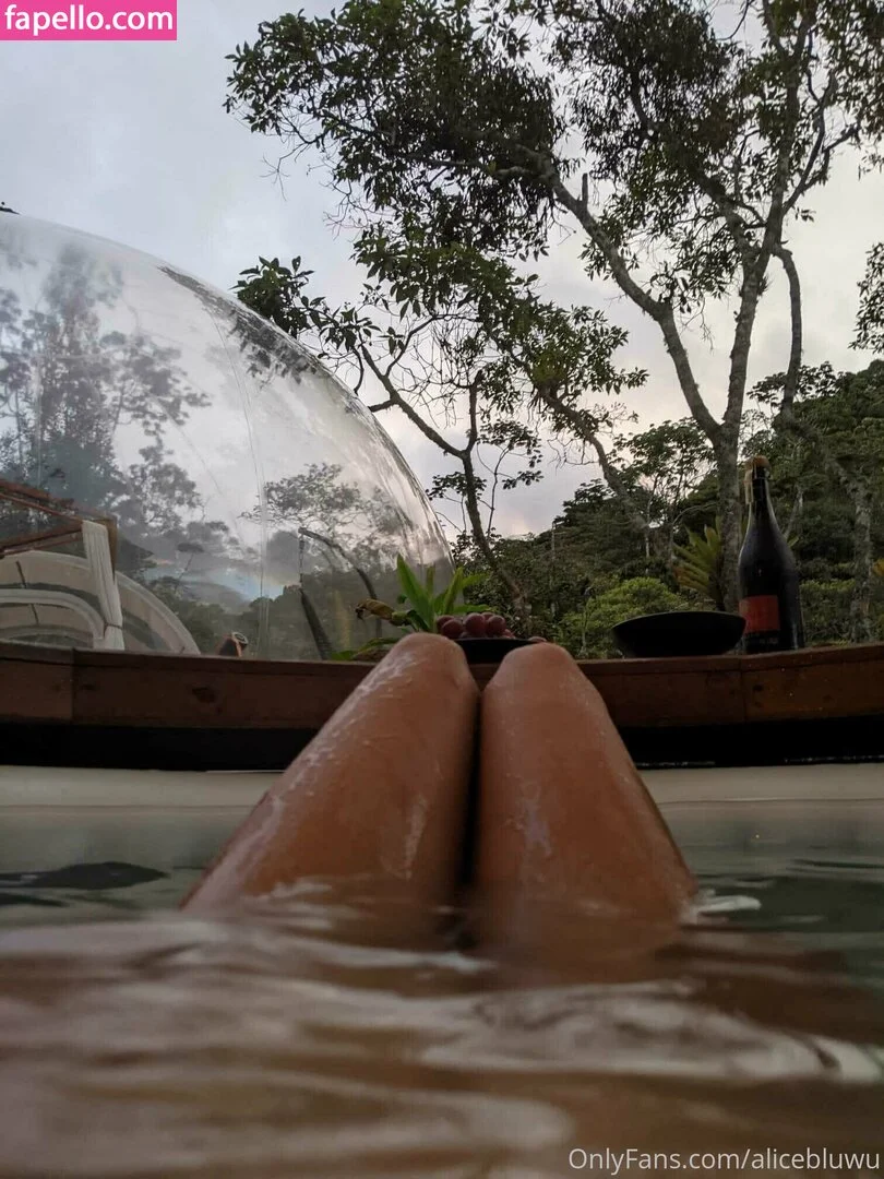 alicebluwu Onlyfans Photo Gallery 