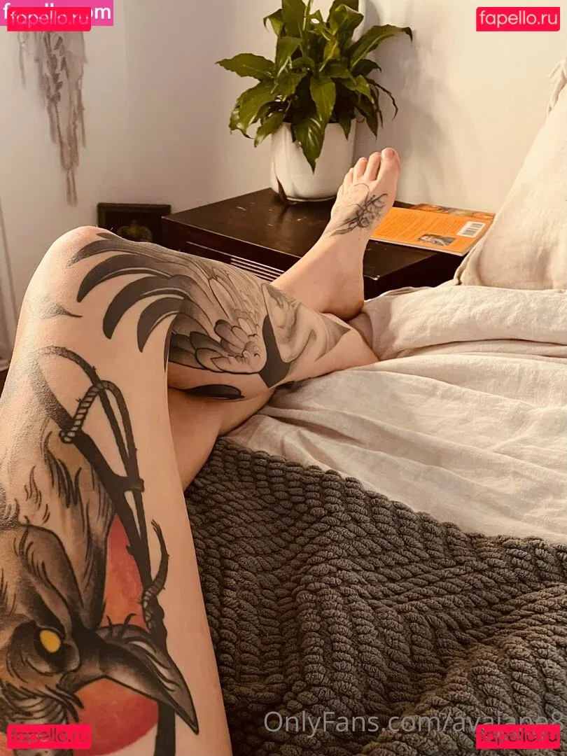 avajane8 Onlyfans Photo Gallery 
