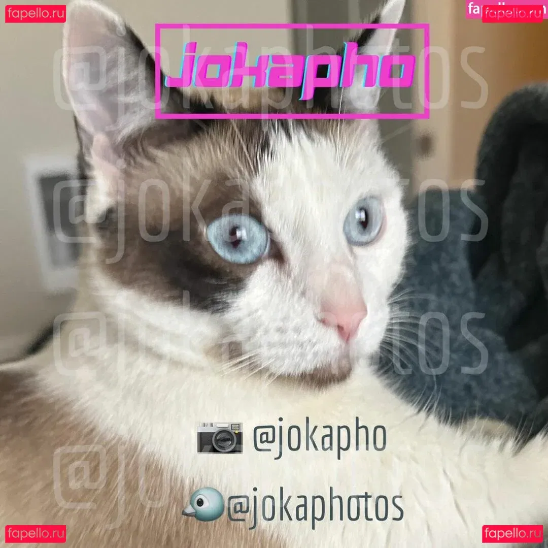 JoKa Photos Onlyfans Photo Gallery 