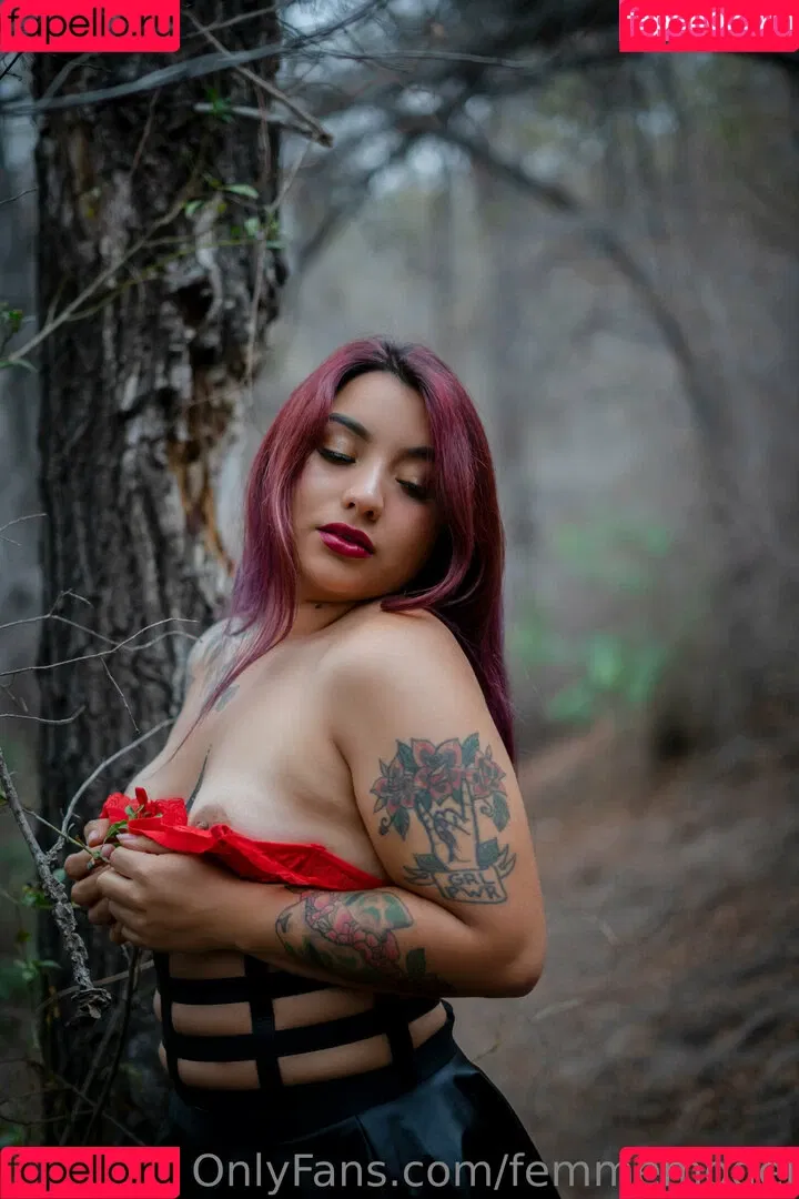 femmemodel Onlyfans Photo Gallery 