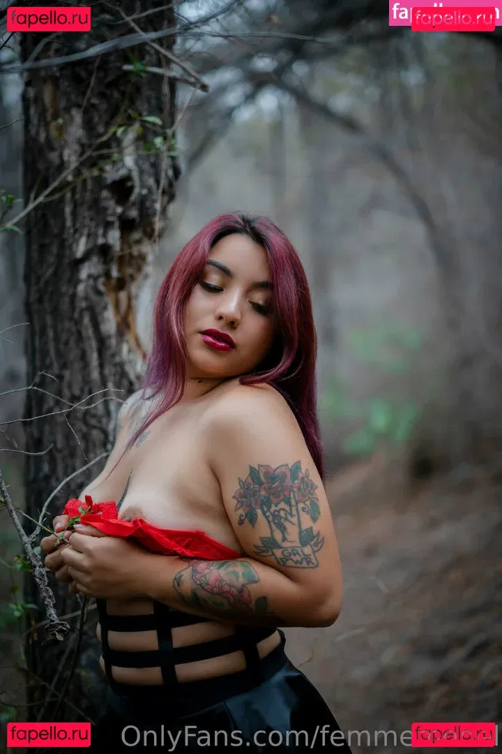 femmemodel Onlyfans Photo Gallery 