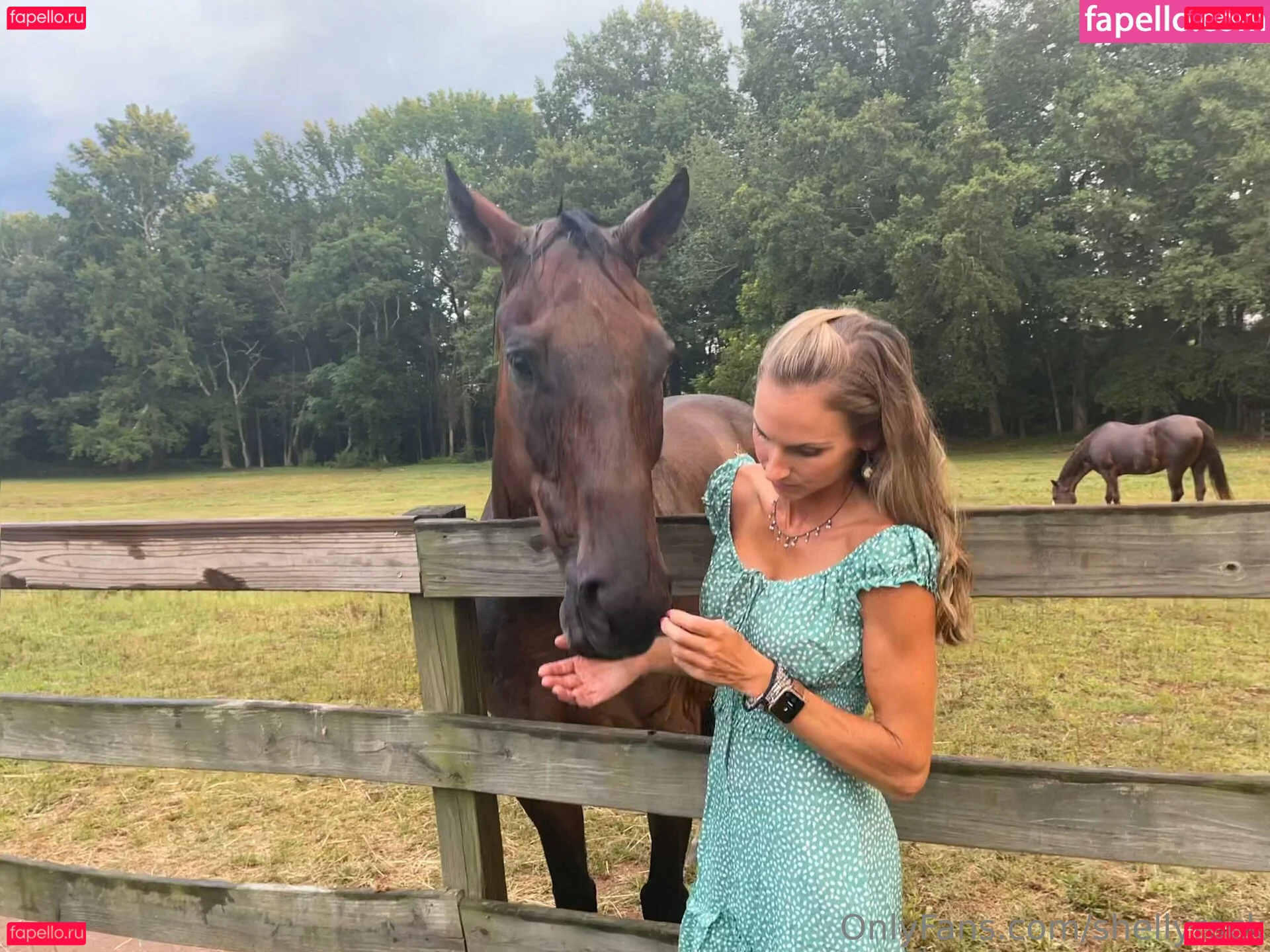 shellyrock Onlyfans Photo Gallery 