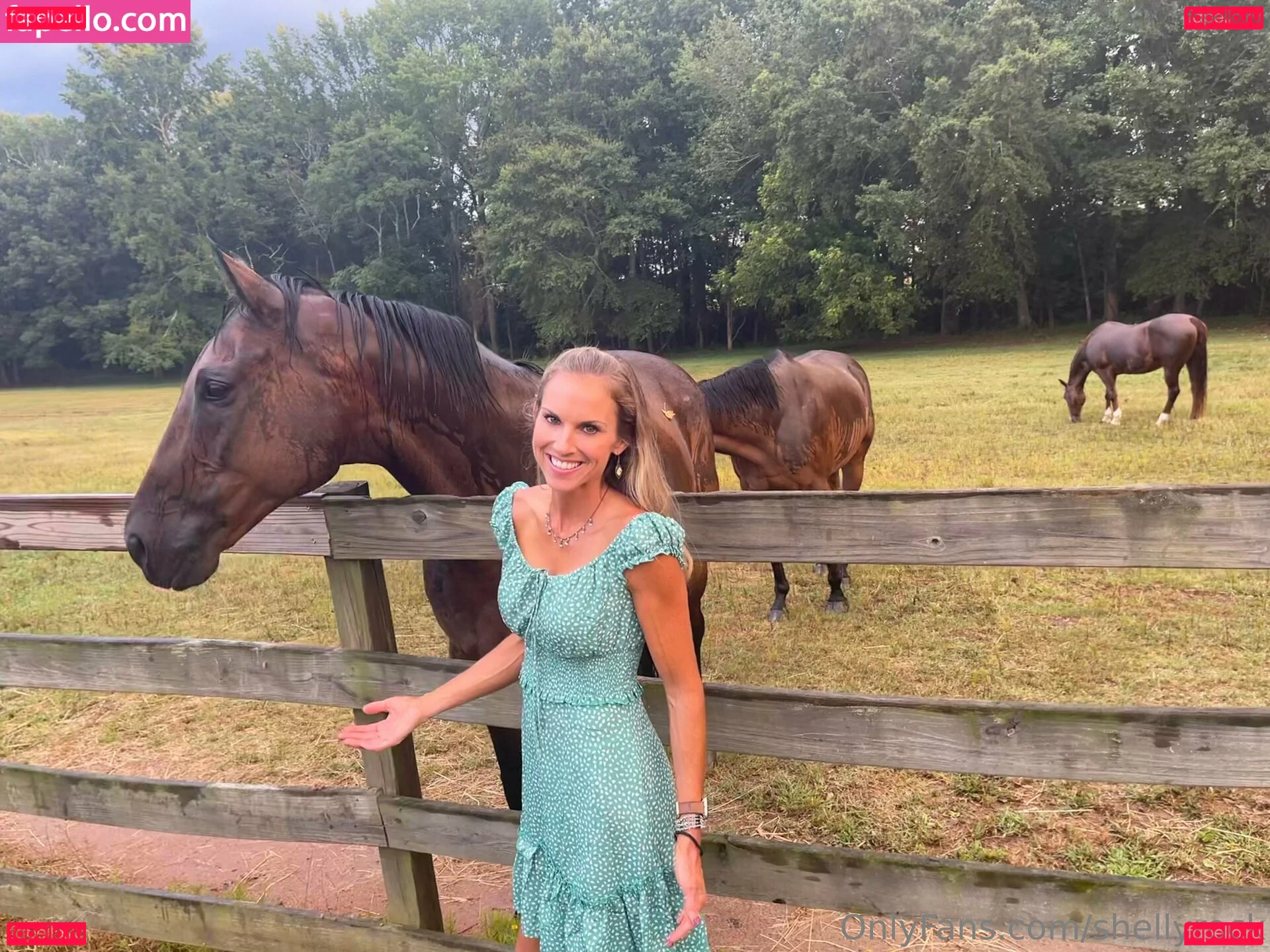 shellyrock Onlyfans Photo Gallery 