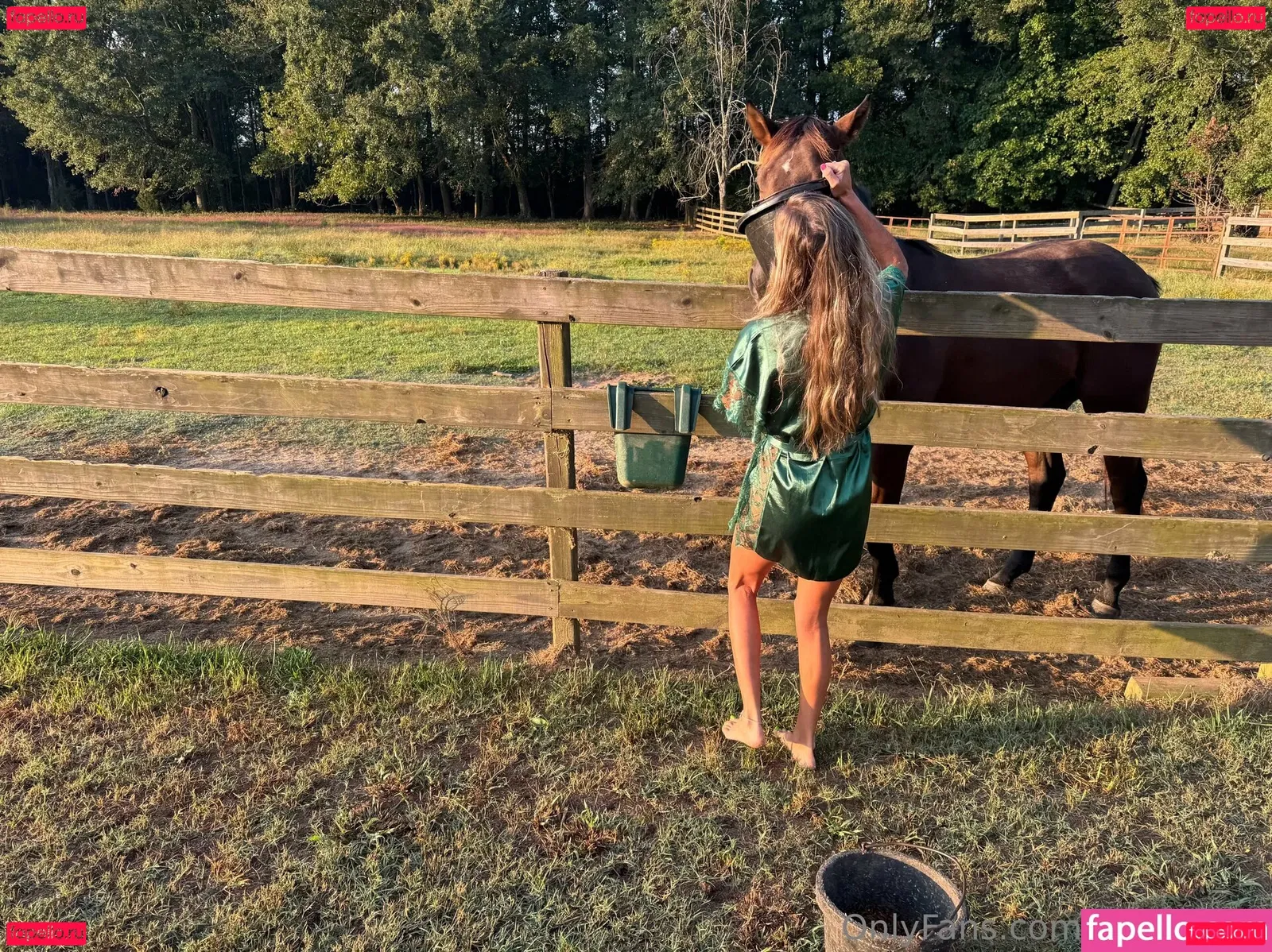 shellyrock Onlyfans Photo Gallery 