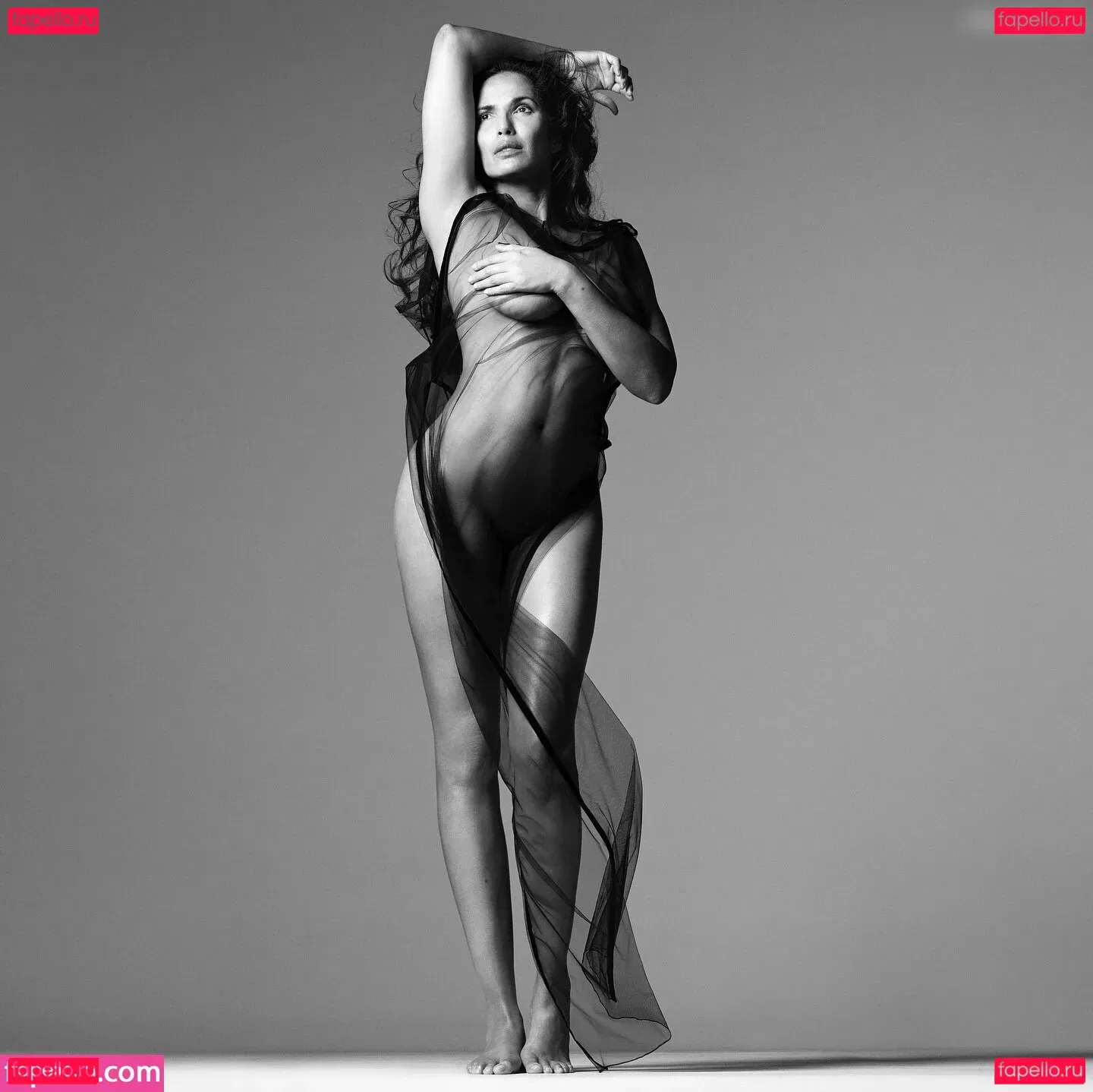 Peytn Onlyfans Photo Gallery 