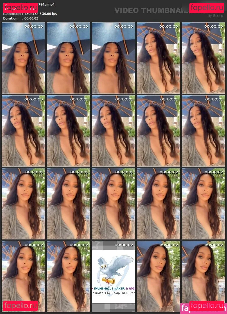 La La Anthony Onlyfans Photo Gallery 