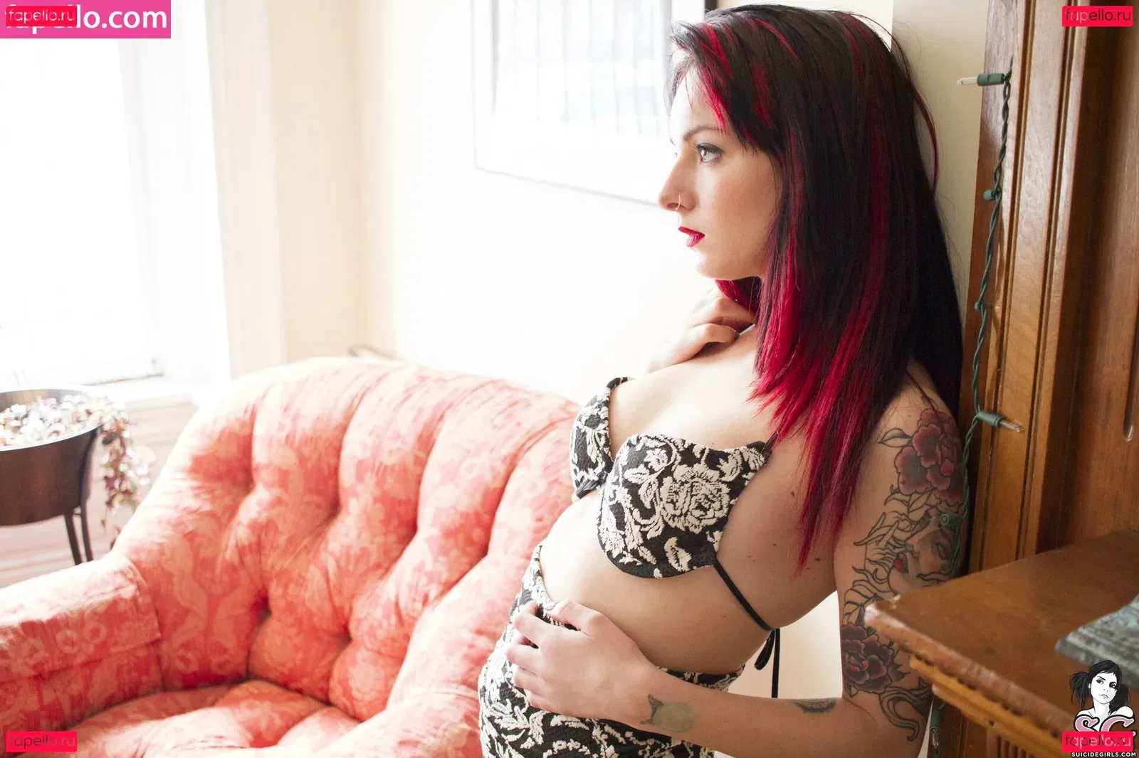 Synatra Onlyfans Photo Gallery 