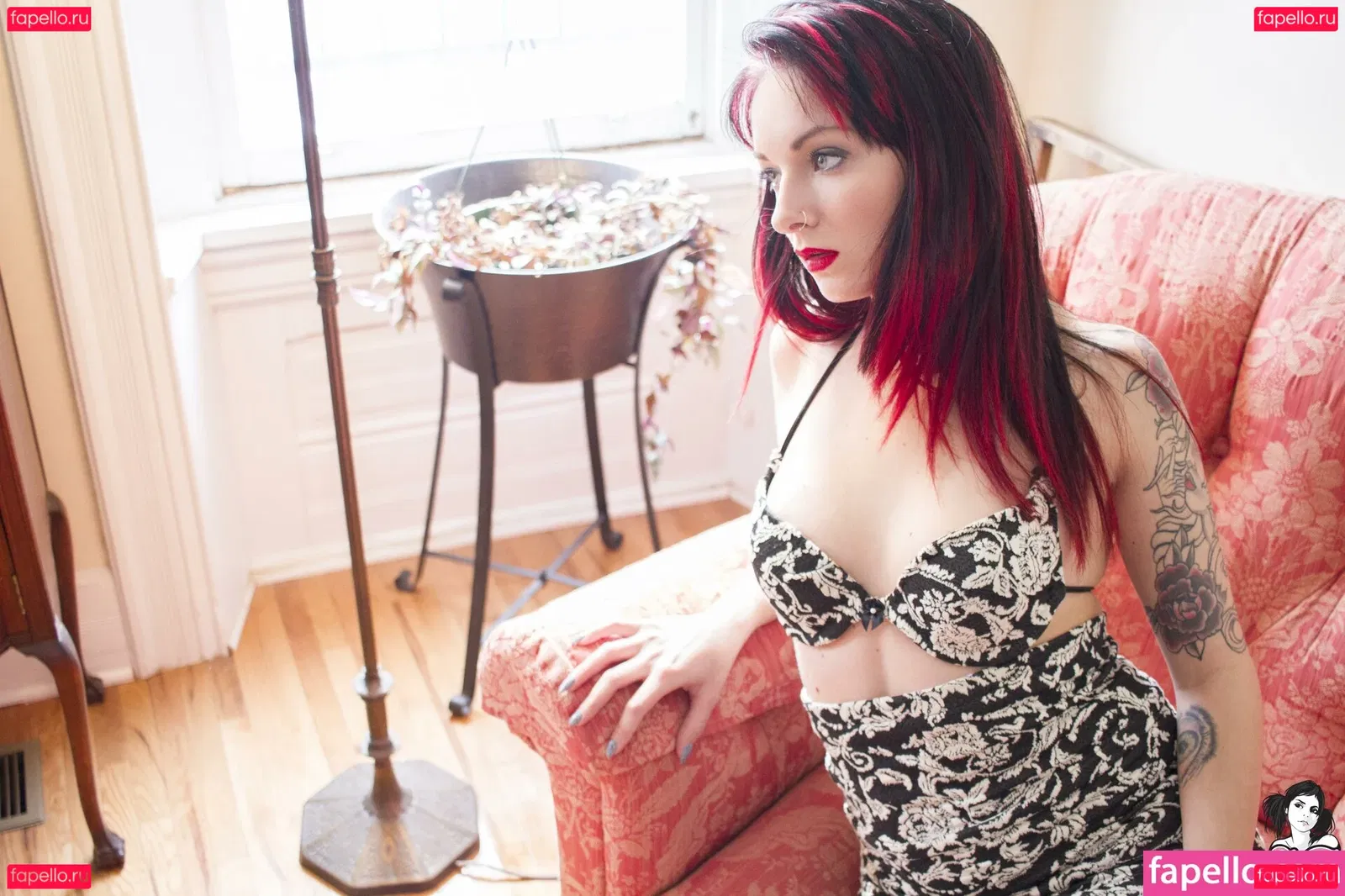 Synatra Onlyfans Photo Gallery 