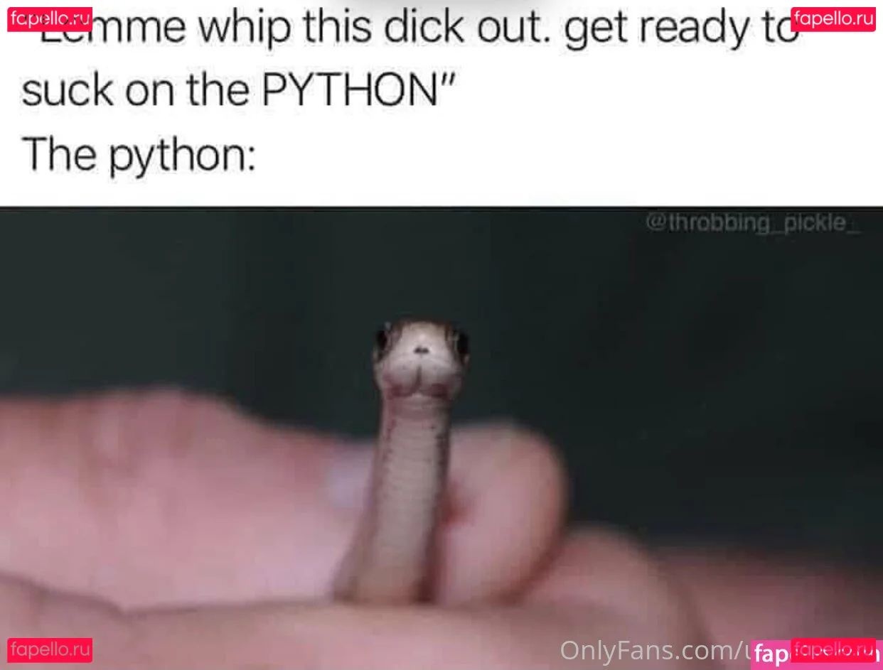 u56639201 Onlyfans Photo Gallery 