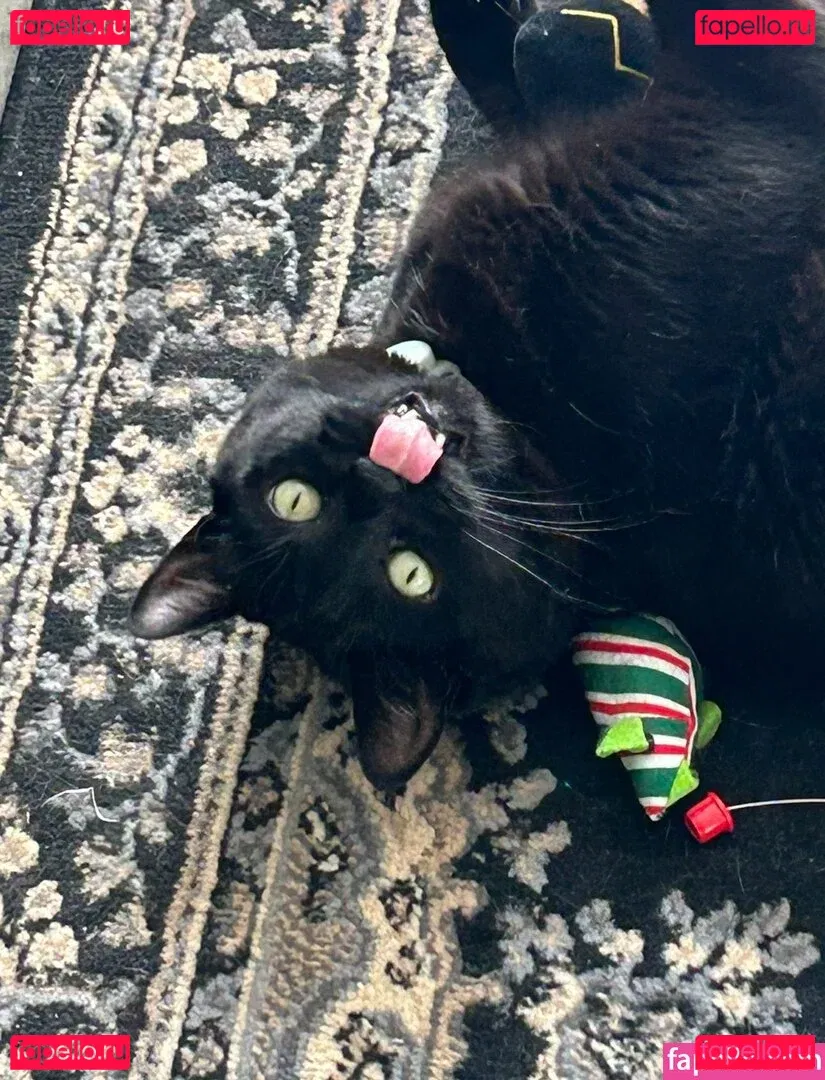 k4iley Onlyfans Photo Gallery 