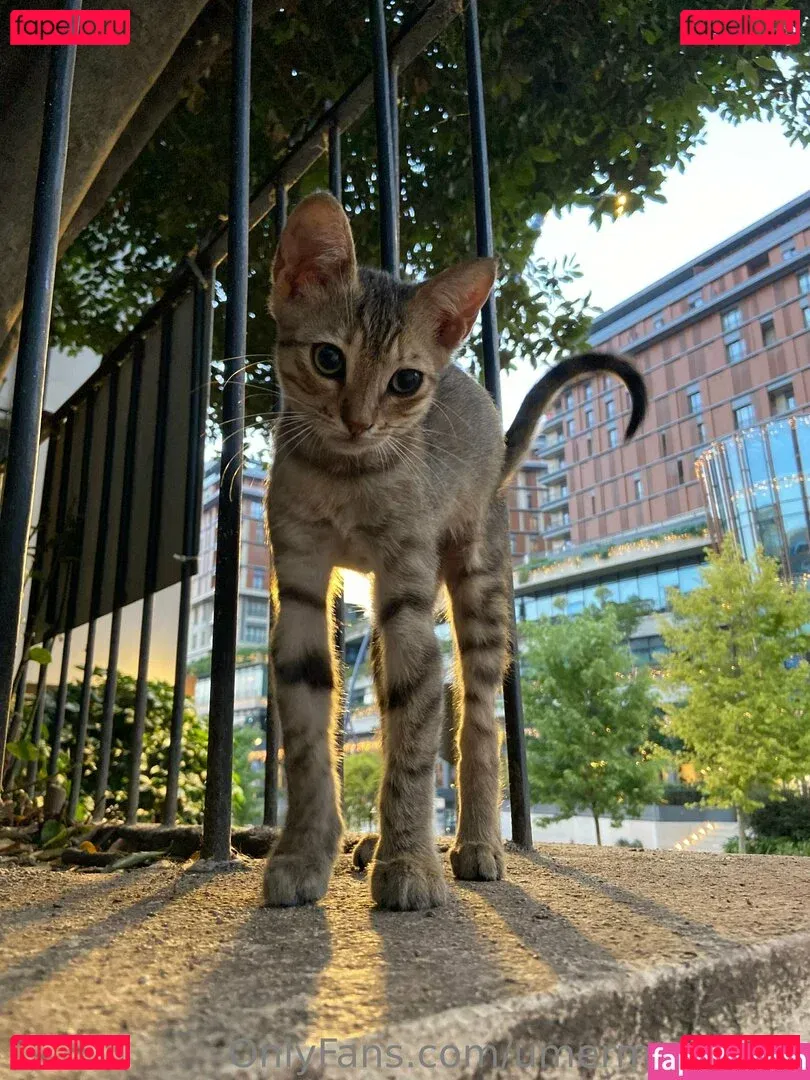 umermaidskiss Onlyfans Photo Gallery 