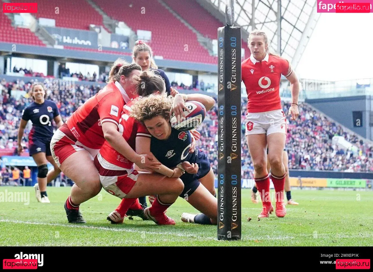 Ellie Onlyfans Photo Gallery 