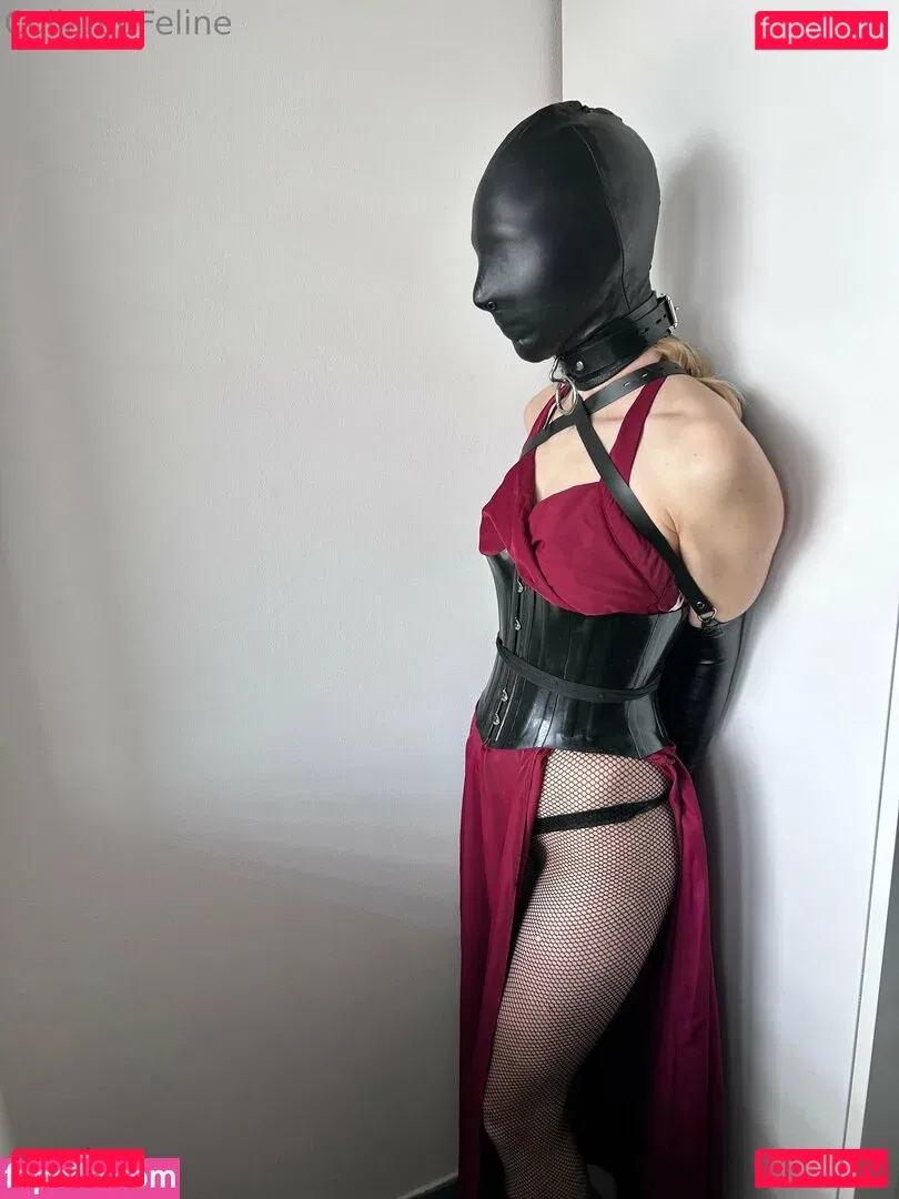 collaredfeline Onlyfans Photo Gallery 