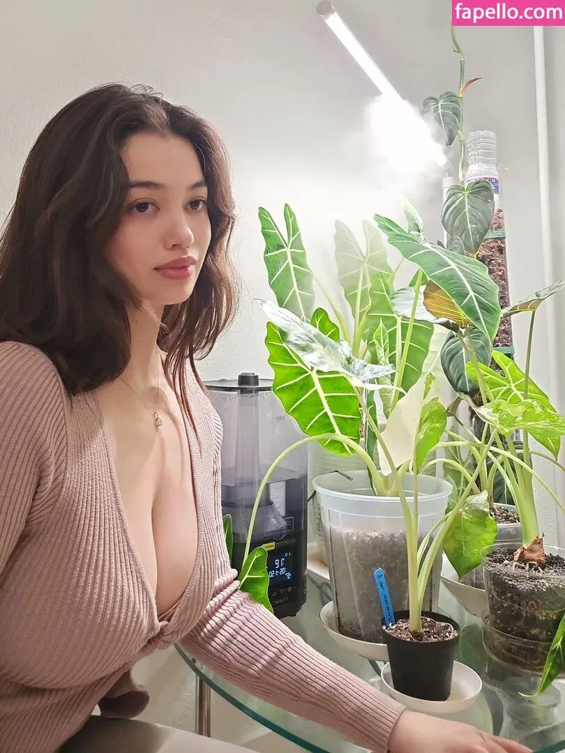 qilin.anh Onlyfans Photo Gallery 