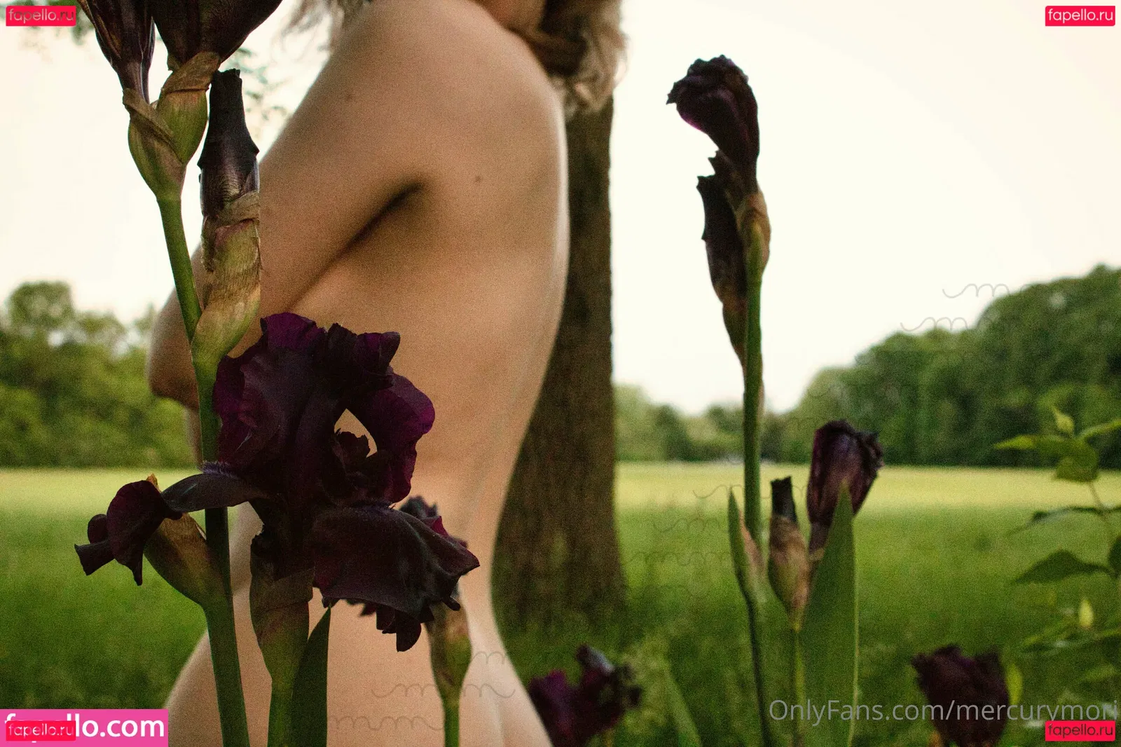 mercurymori Onlyfans Photo Gallery 