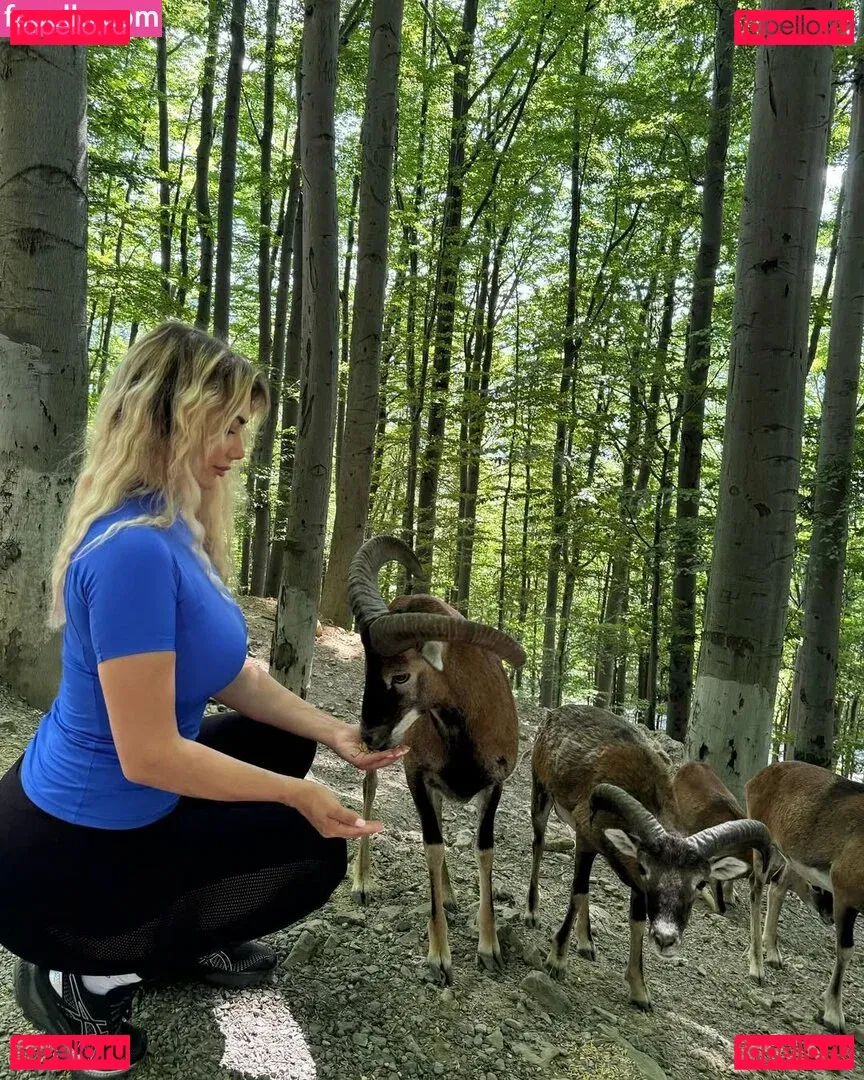 Estelllexo Onlyfans Photo Gallery 