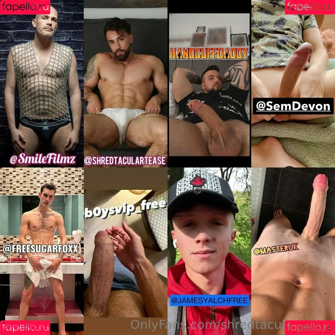 shredtaculartease Onlyfans Photo Gallery 