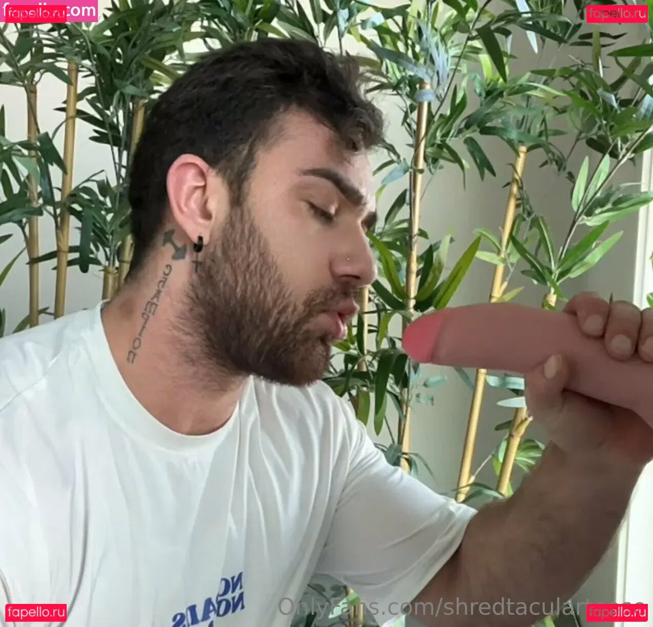 shredtaculartease Onlyfans Photo Gallery 