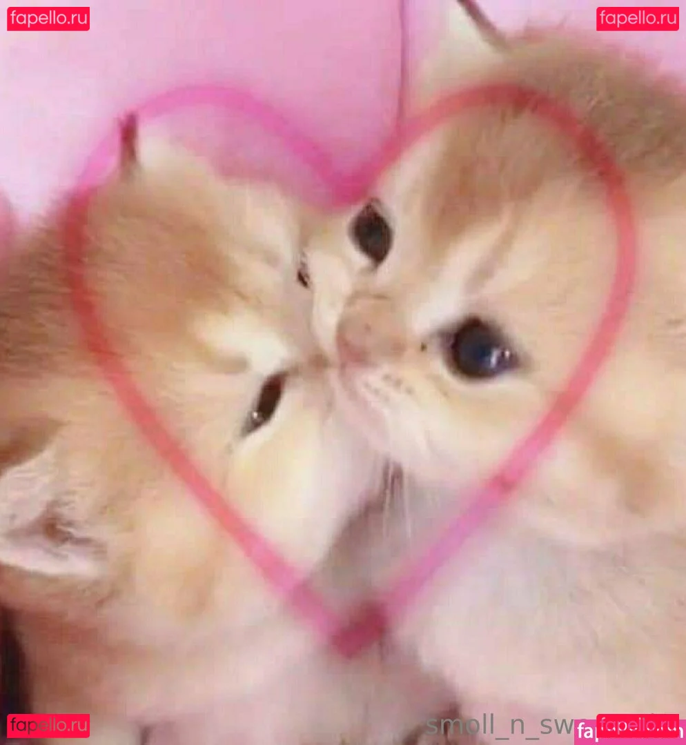 smoll_n_sweet_2k2 Onlyfans Photo Gallery 