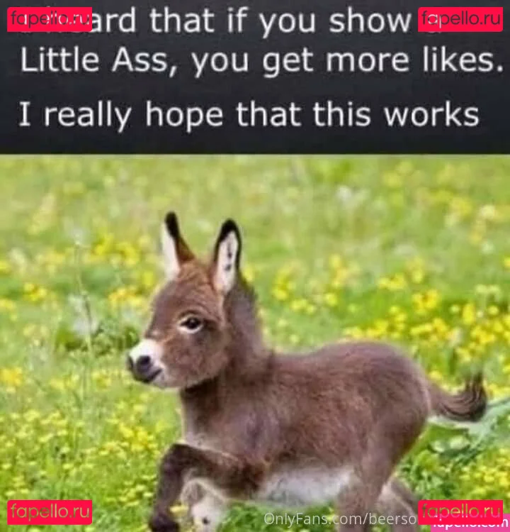 beersoakedangel02 Onlyfans Photo Gallery 