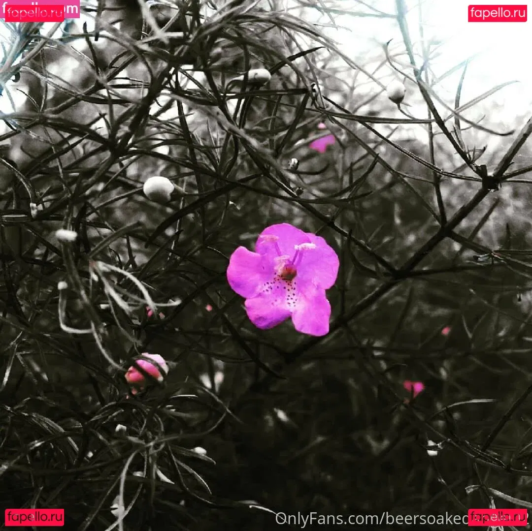 beersoakedangel02 Onlyfans Photo Gallery 