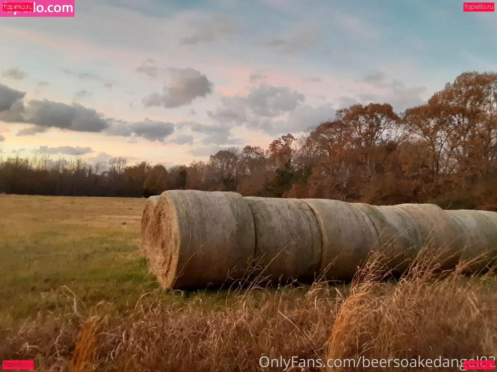 beersoakedangel02 Onlyfans Photo Gallery 