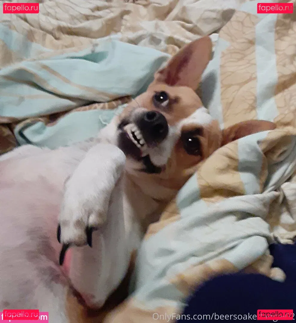 beersoakedangel02 Onlyfans Photo Gallery 