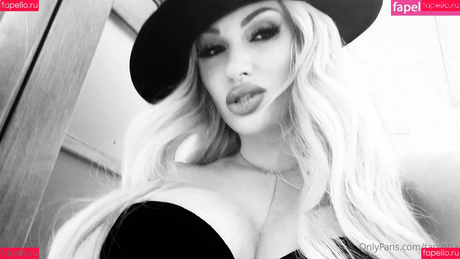 tanysha Onlyfans Photo Gallery 
