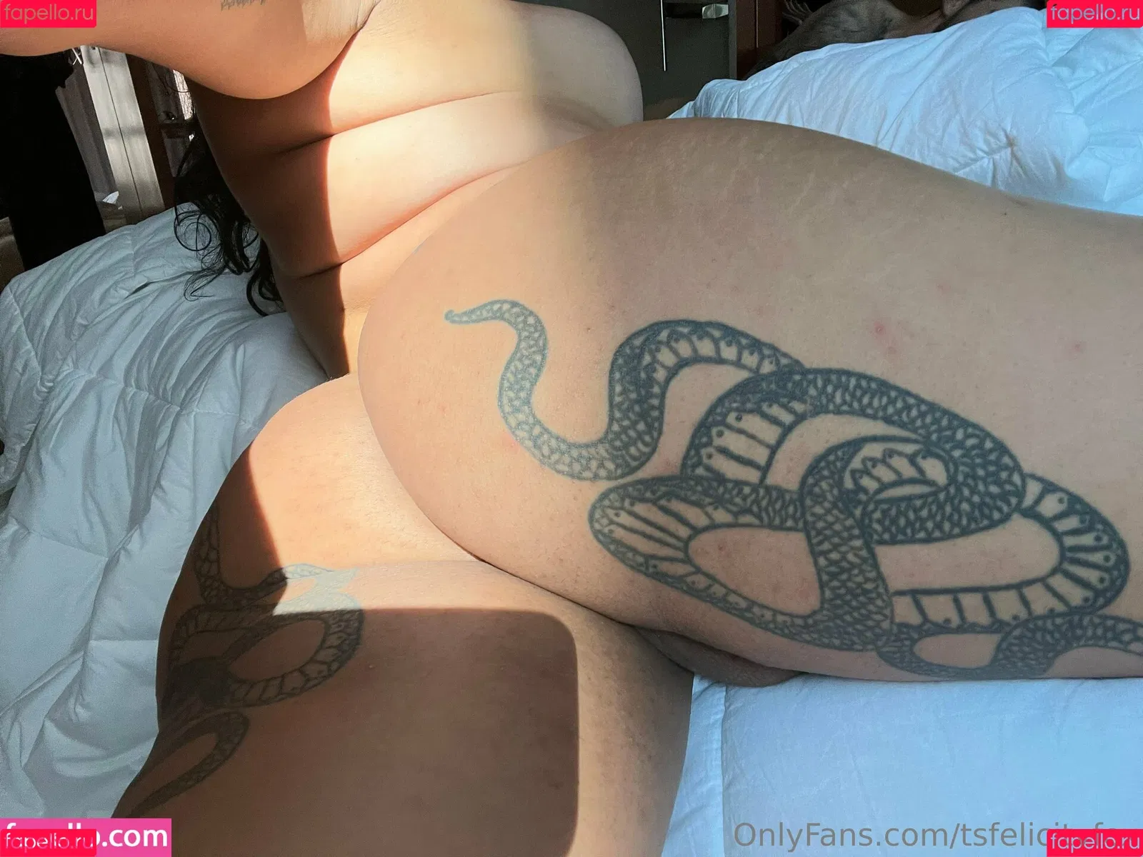 tsfelicityfox Onlyfans Photo Gallery 