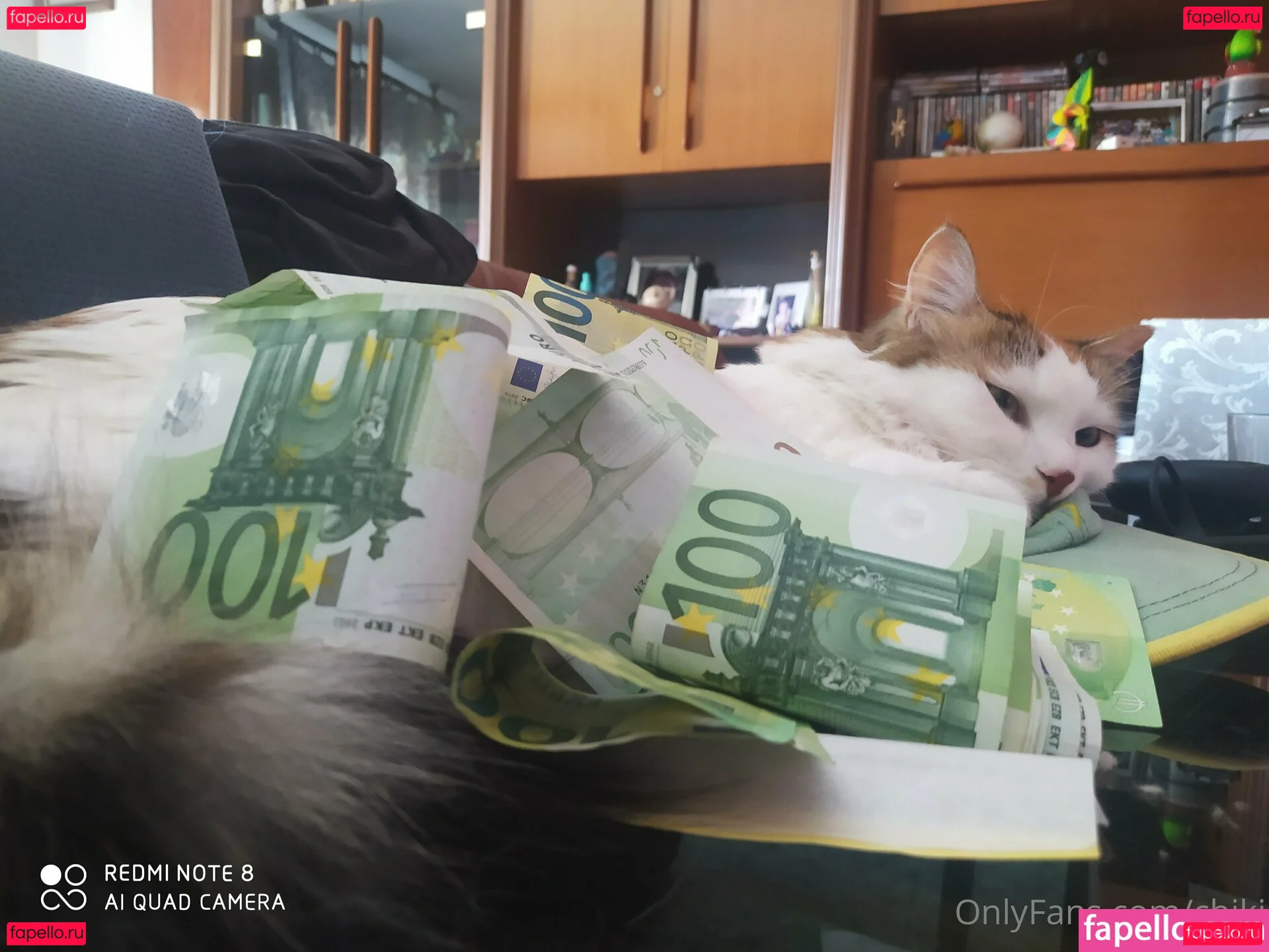 cbiki Onlyfans Photo Gallery 