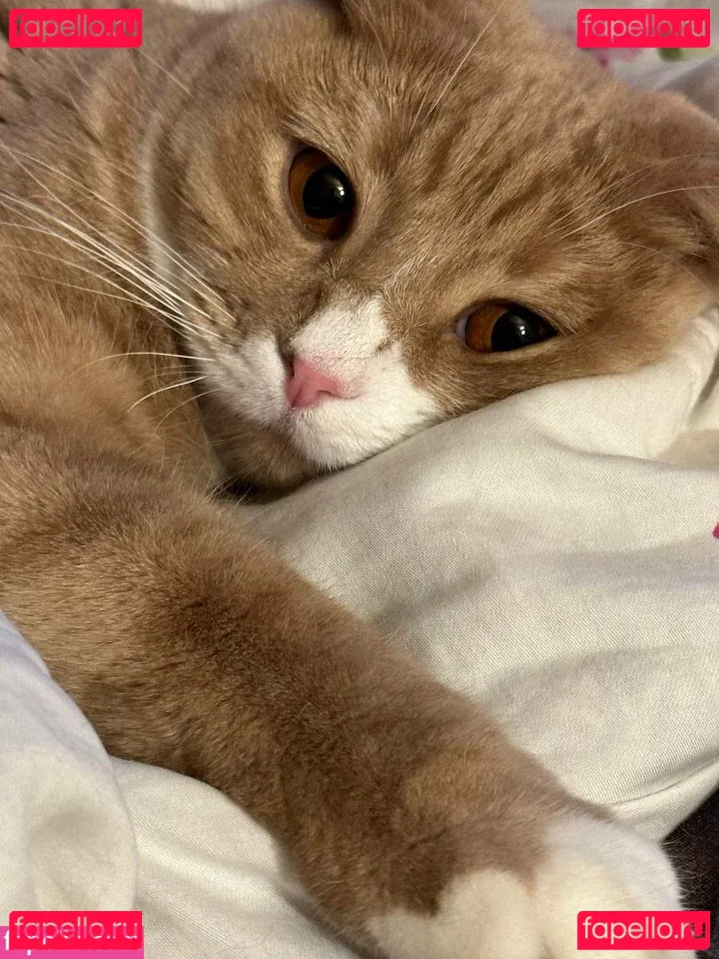 Holy Harlot Onlyfans Photo Gallery 