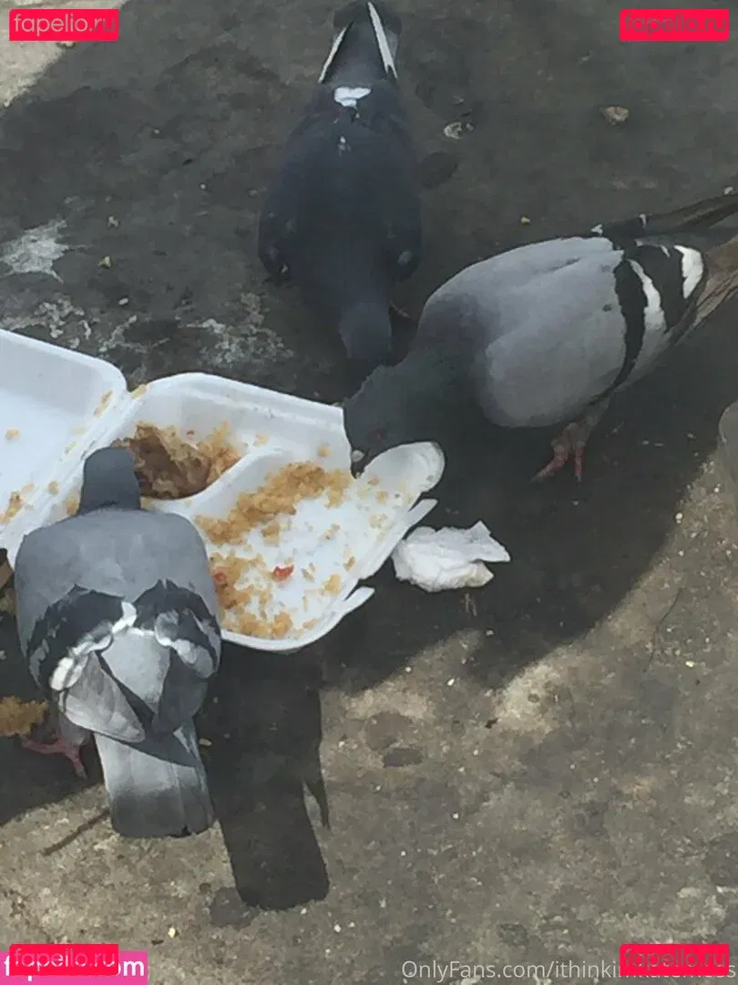 illtakeeverything Onlyfans Photo Gallery 