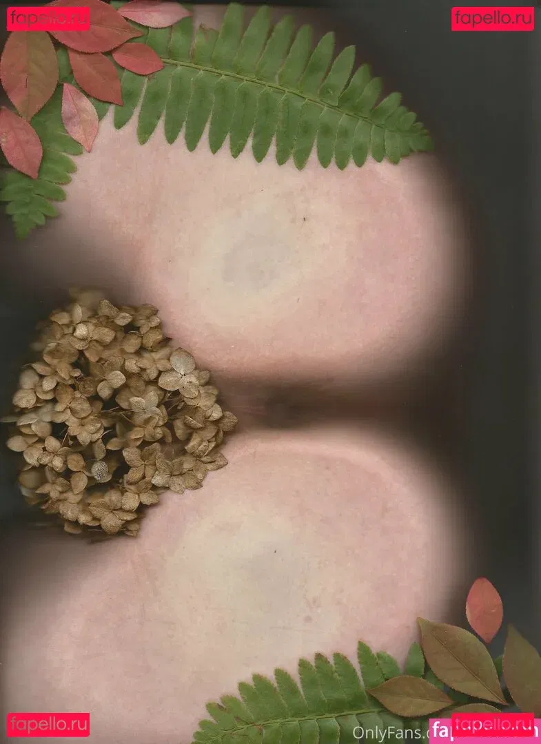 bb.apathy Onlyfans Photo Gallery 