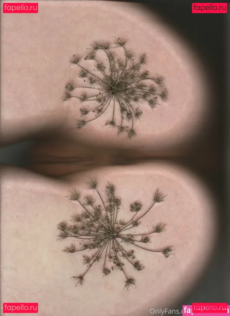 bb.apathy Onlyfans Photo Gallery 