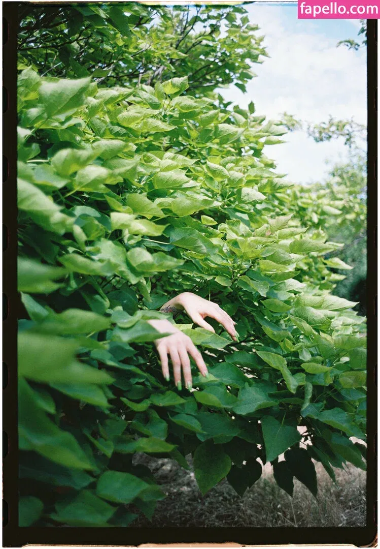 Dixowho Onlyfans Photo Gallery 