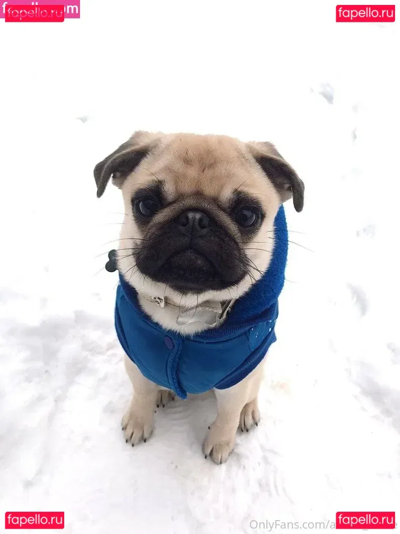 adelia_adele Onlyfans Photo Gallery 