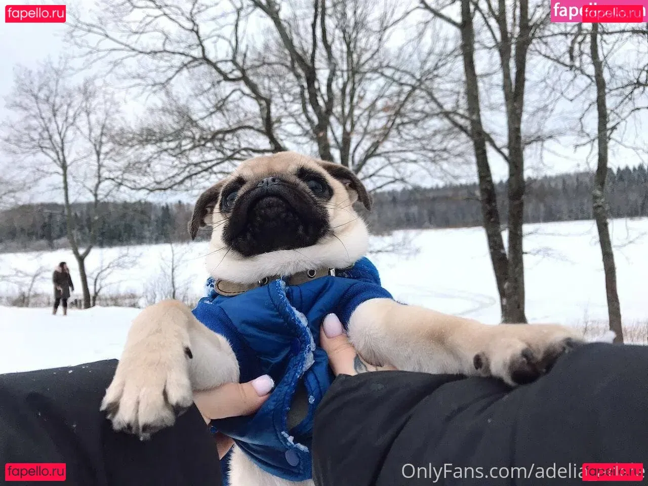 adelia_adele Onlyfans Photo Gallery 