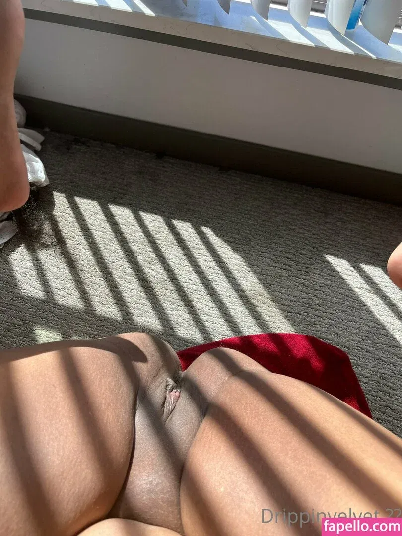 drippinvelvet Onlyfans Photo Gallery 