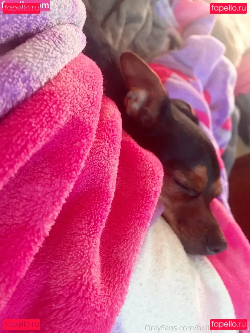 hollynicolebtch Onlyfans Photo Gallery 