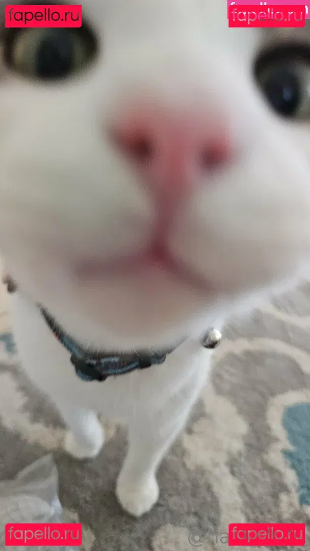 haruphine Onlyfans Photo Gallery 