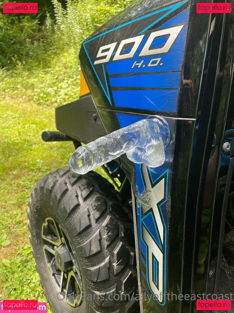 allyofftheeastcoast Onlyfans Photo Gallery 