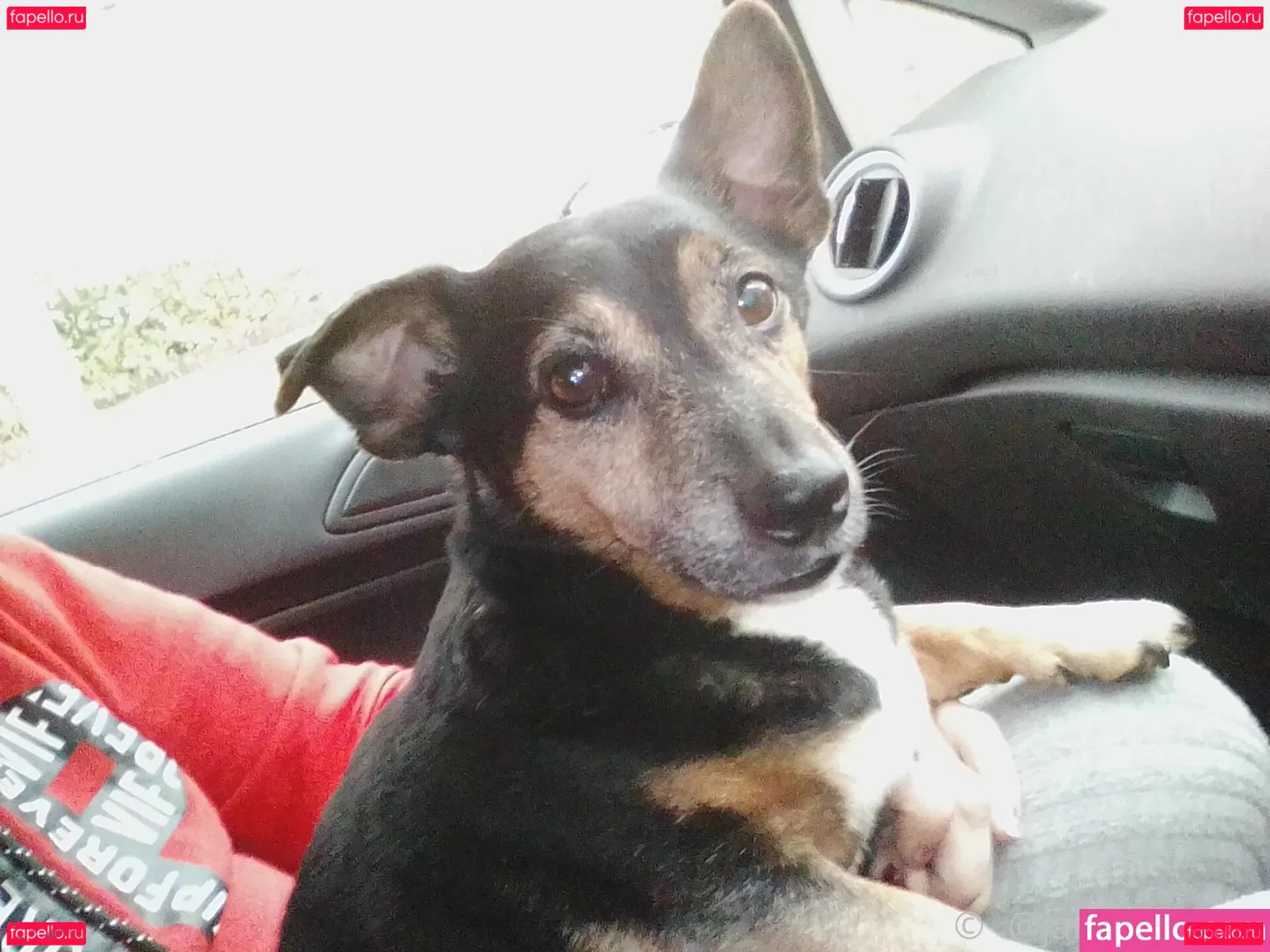 jamie_rayxx Onlyfans Photo Gallery 