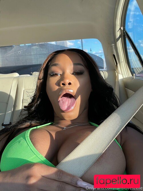 Fansloveszelie Nude Onlyfans Photo 30