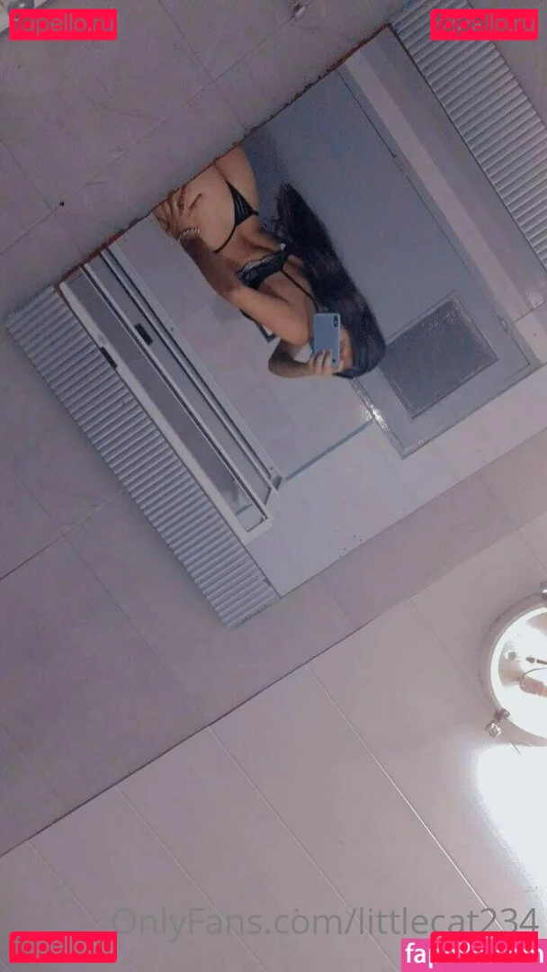 littlecat234 Nude Onlyfans Photo 22