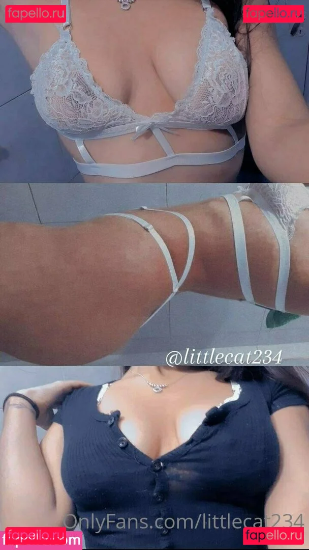 littlecat234 Nude Onlyfans Photo 20