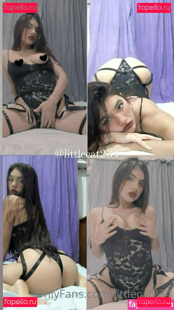 littlecat234 Nude Onlyfans Photo 17